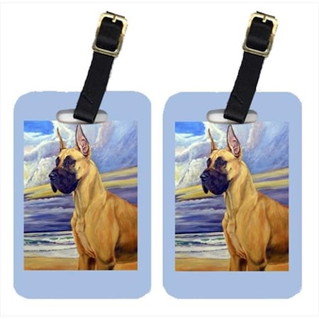 Carolines Treasures 7101BT Fawn Great Dane At The Beach Luggage Tags; Pack - 2